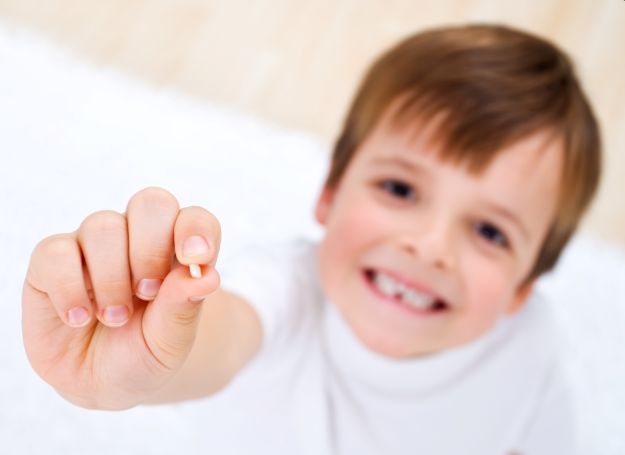 A little boy holding a tooth